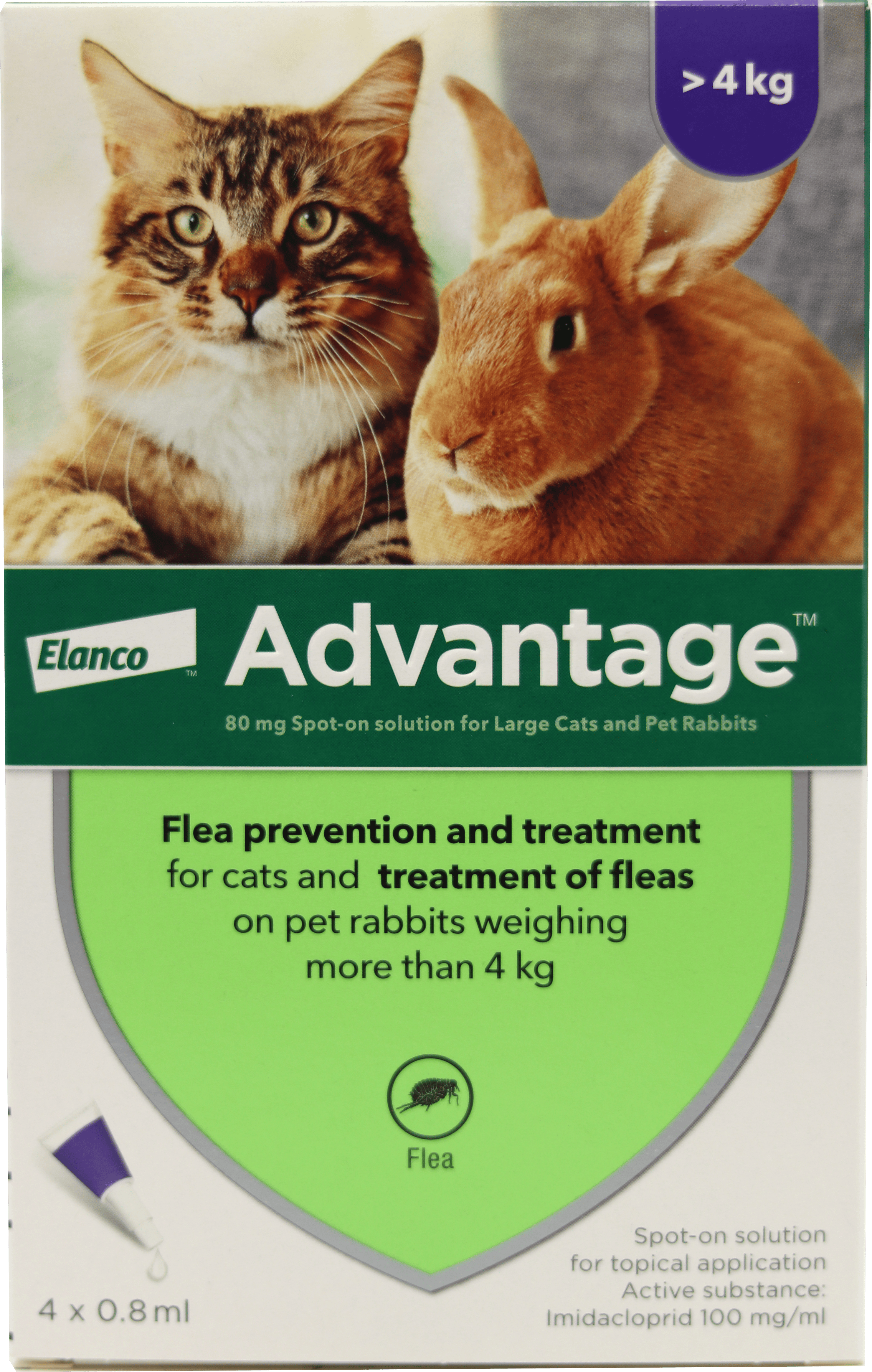Flea Control - The Ultimate Natural Guide Treatment for Cat Owners with ... - Cat Flea Control Near Rabbit Owners