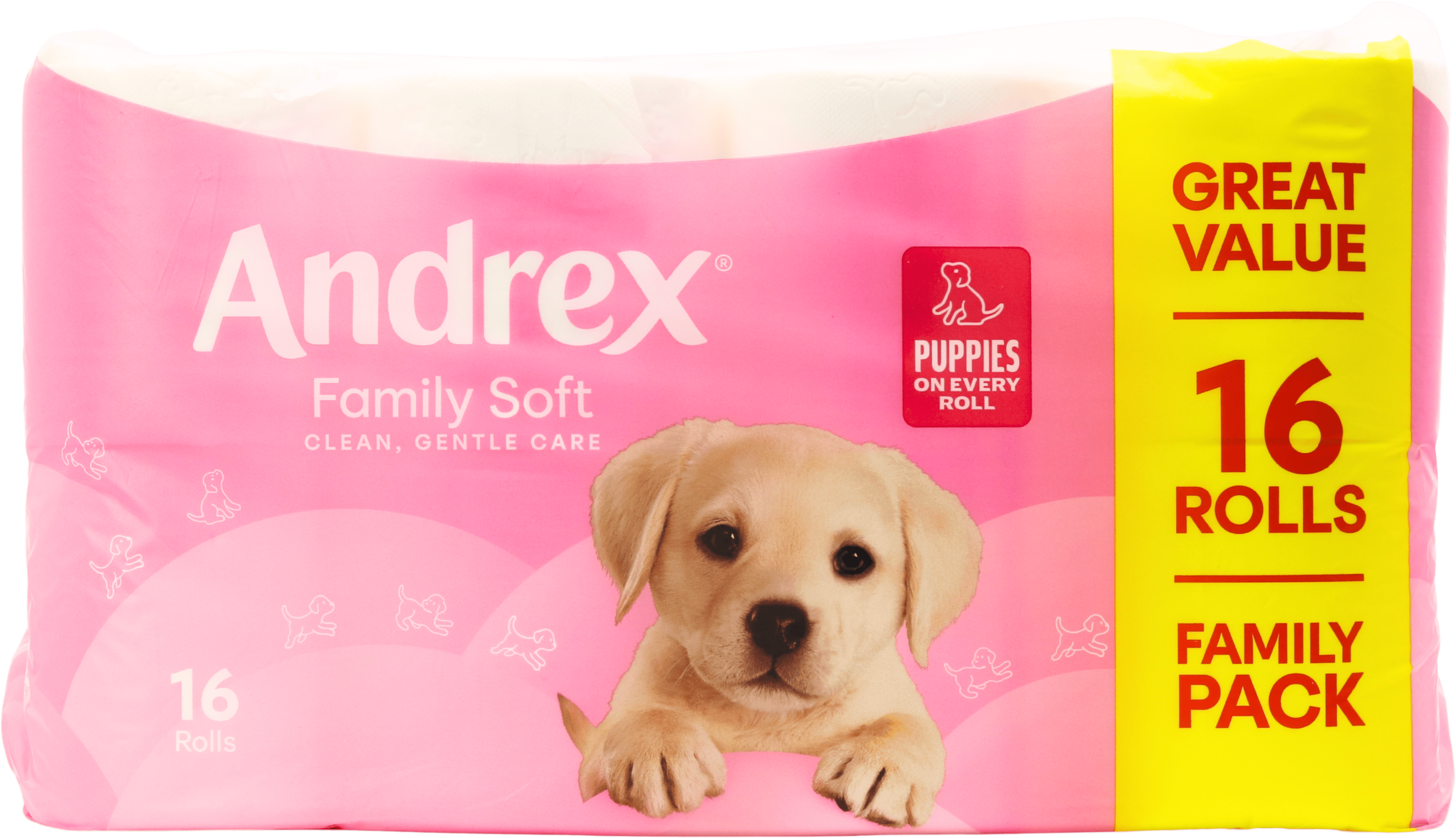 Andrex Family Soft Toilet Roll 16 Pack