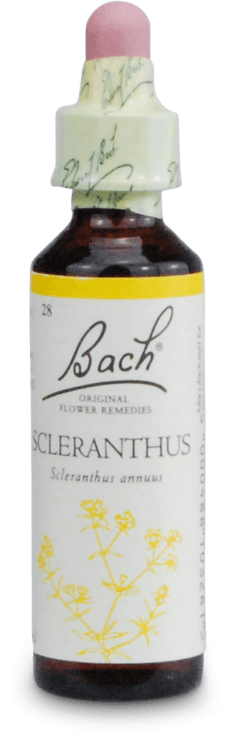 Buy Bach Original Flower Remedies Scleranthus 20ml | Medino