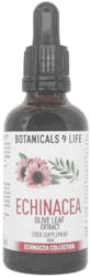 Botanicals 4 Life Echinacea & Olive Leaf Extract 50ml