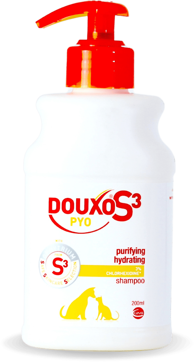 Douxo S3 Pyo Shampoo 200ml