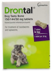 Drontal Dog Tasty Bone 2 Tablets
