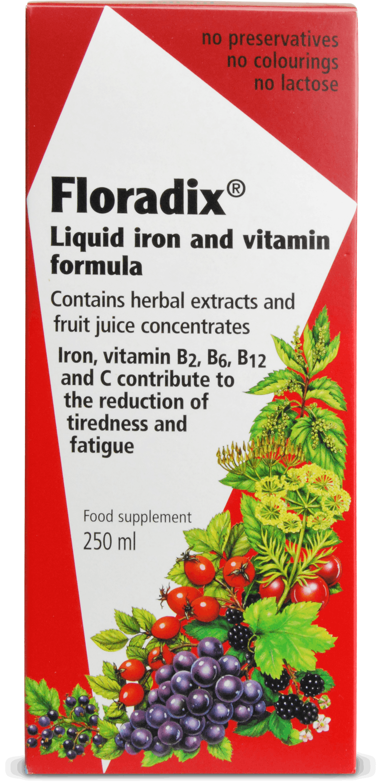 Floradix Liquid Iron And Vitamin Formula 250ml | Medino