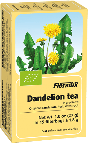 Floradix Herbal Tea Dandelion 15 Teabags