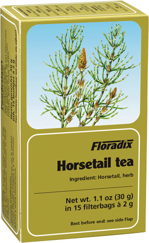Floradix Herbal Tea Horsetail 15 Teabags