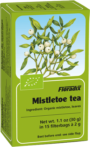 Floradix Herbal Tea Mistletoe 15 Teabags