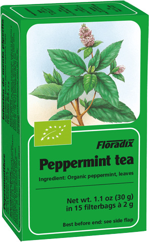Floradix Herbal Tea Peppermint 15 Teabags