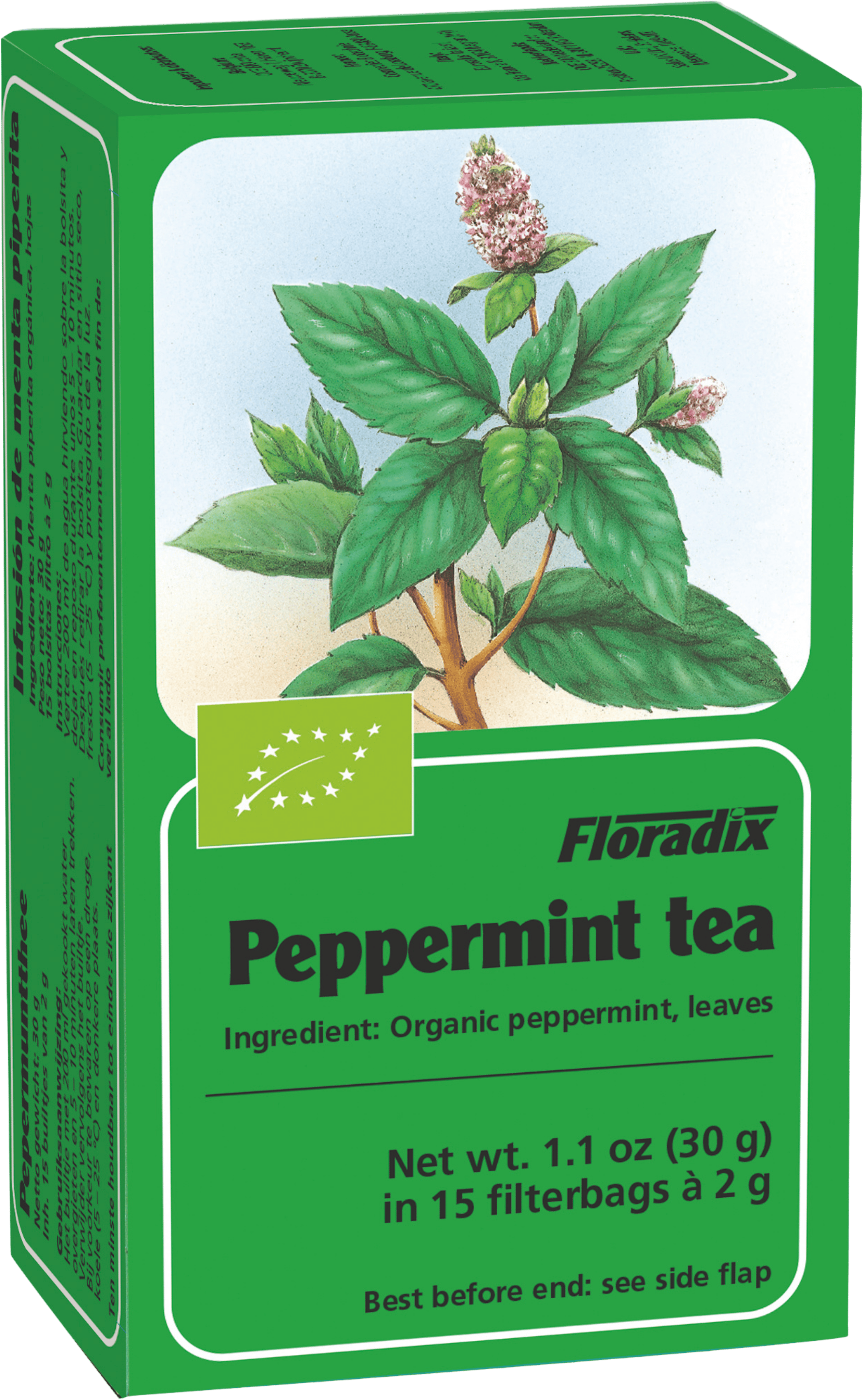 Floradix Herbal Tea Peppermint 15 Teabags