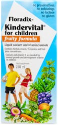 Floradix Kindervital Fruity Formula 250ml