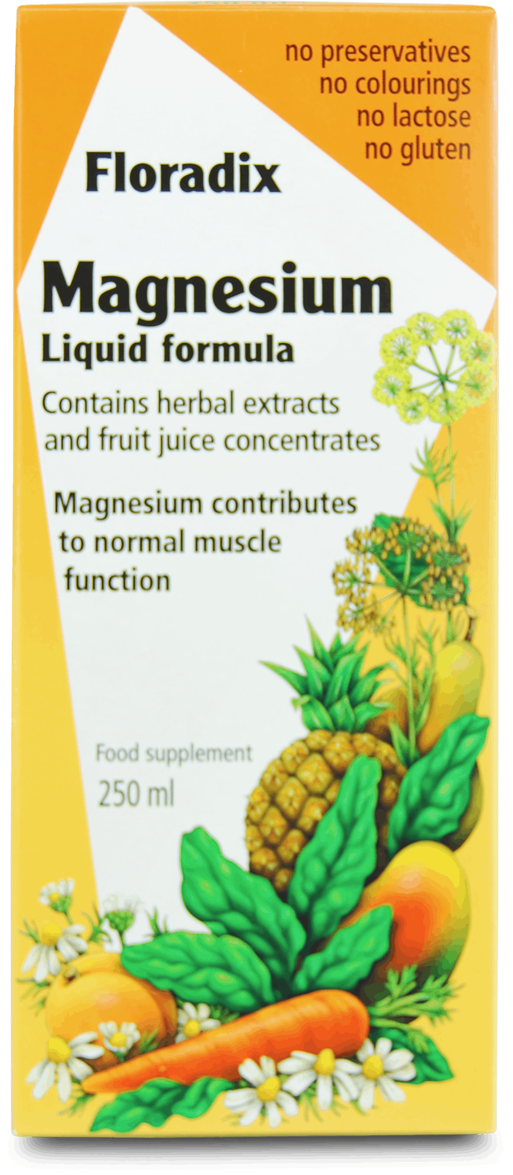 Floradix Magnesium Liquid Formula 250ml | Medino