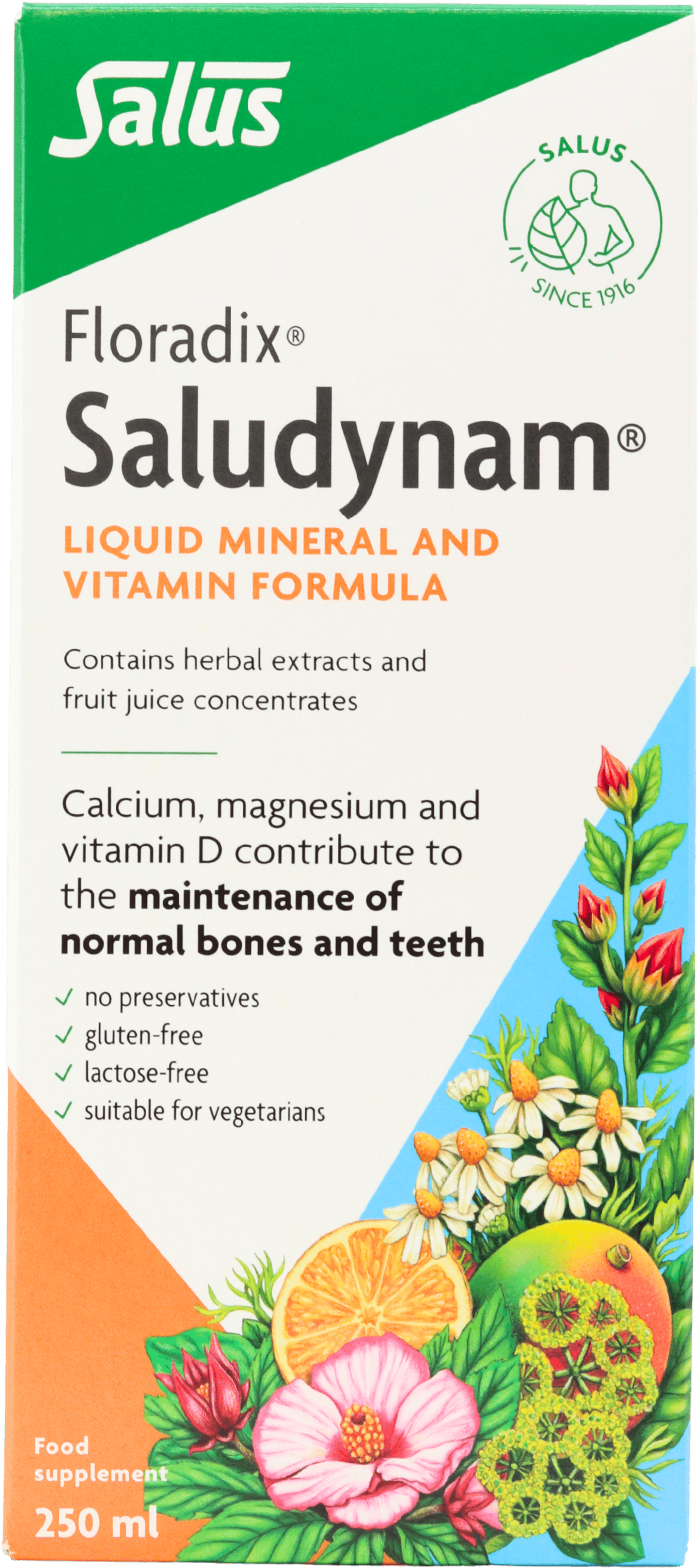Floradix Saludynam Liquid Calcium, Magnesium, Zinc & Vitamin D Formula 250ml