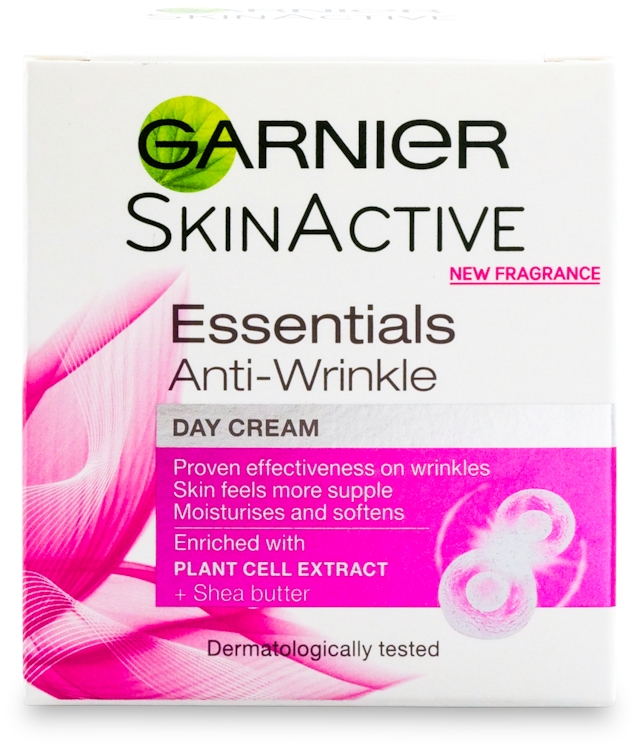 Photos - Cream / Lotion Garnier Essentials Anti Wrinkle Day Cream 50ml 
