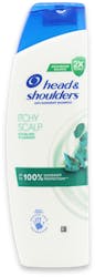 Head & Shoulders Itchy Scalp Care Eucalyptus Anti-Dandruff Shampoo 250ml
