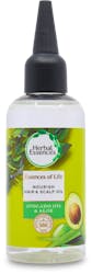 Herbal Essences Avacado & Aloe Hair & Scalp Oil 100ml