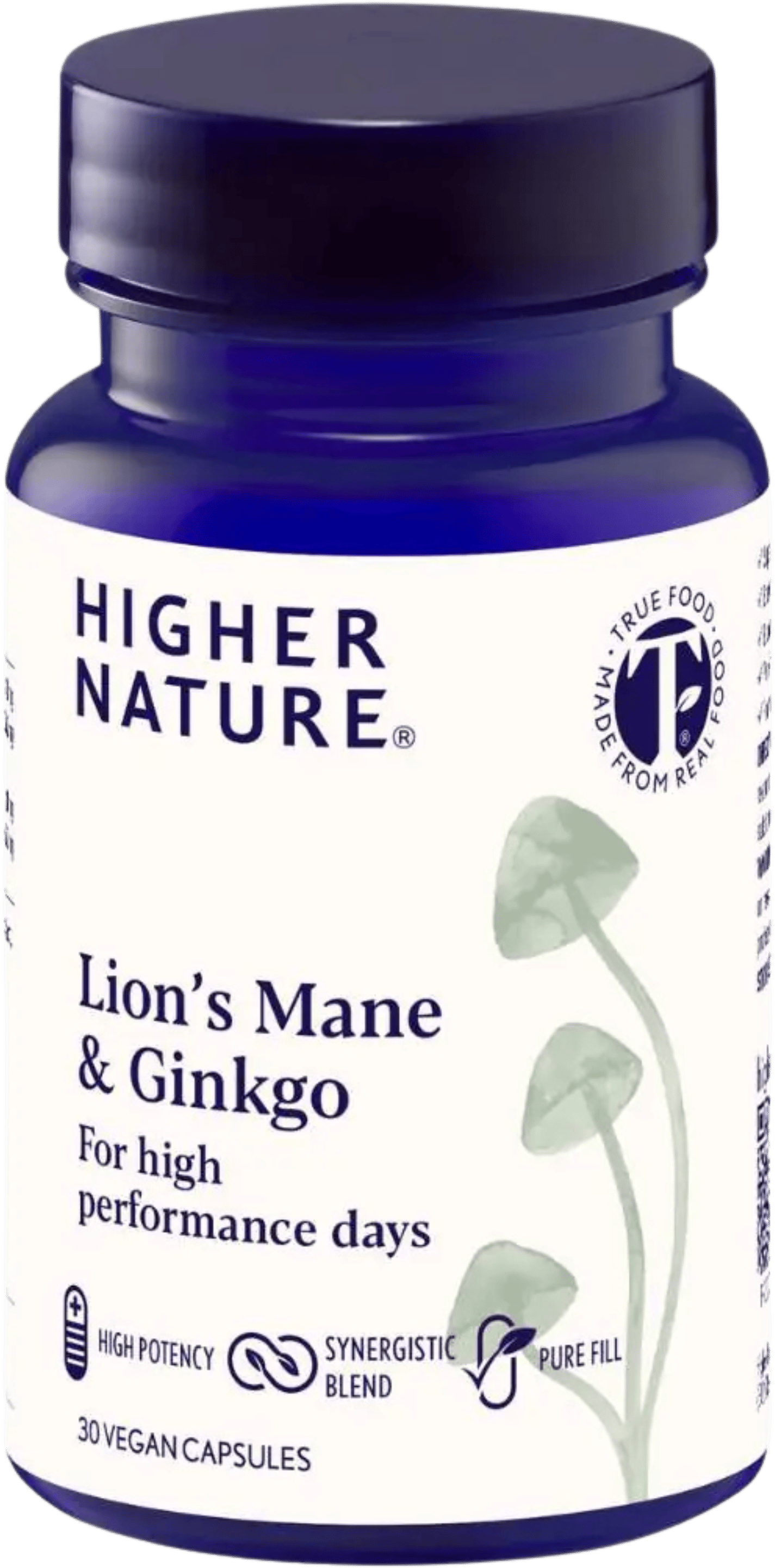Higher Nature Lion's Mane & Ginkgo 30 Capsules