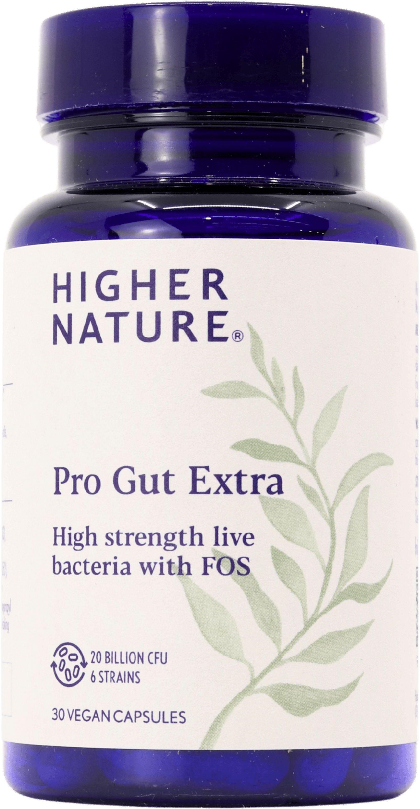 Higher Nature Pro Gut Extra 30 Capsules