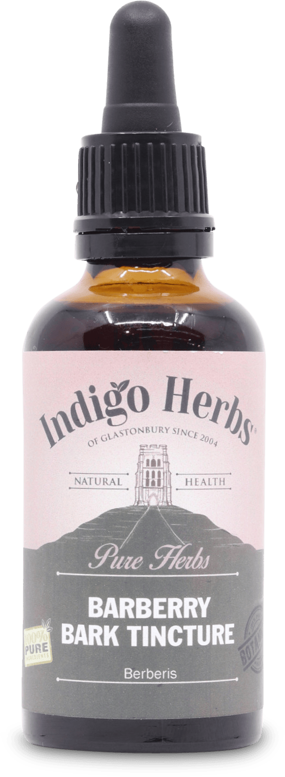 Indigo Herbs Barberry Bark Tincture 50ml