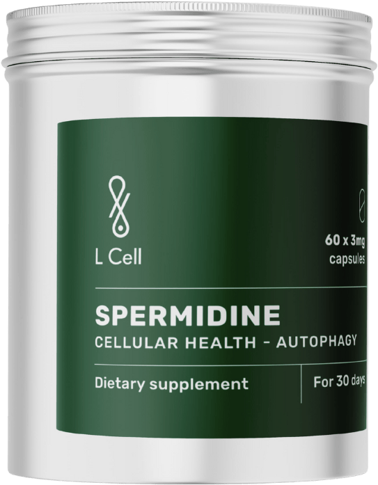 L Cell Spermidine 60 Capsules