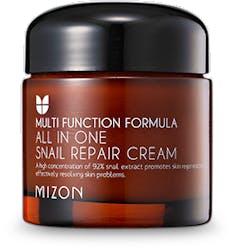 Mizon All in One Snail Repair Cream 75ml