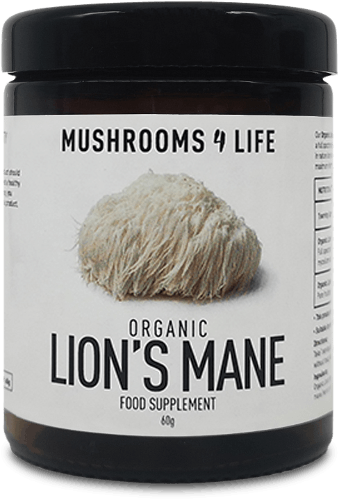 Buy Mushrooms 4 Life Organic Lion S Mane Powder 60g Medino   Mushrooms 4 Life Organic Lion S Mane Powder 60g 1770389091 