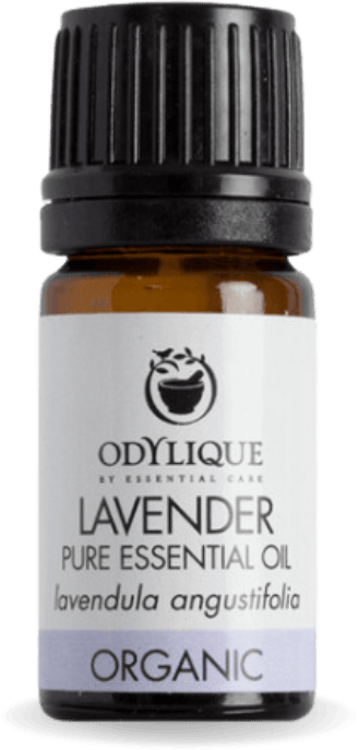 Odylique Lavender Essential Oil Organic 10ml