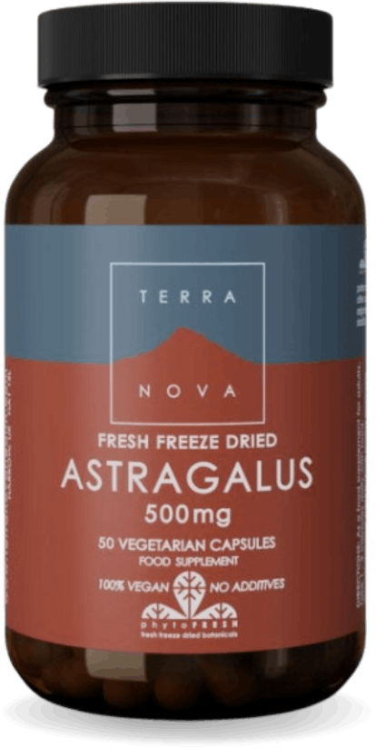 Terranova Astragalus 500mg 50 Capsules