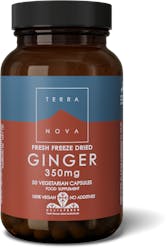 Terranova Ginger 350mg 50 Pack