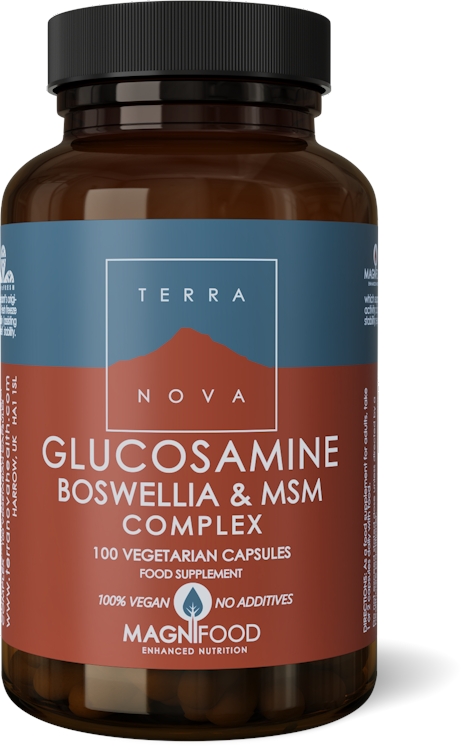 Photos - Vitamins & Minerals Terra Nova Terranova Glucosamine, Boswellia & MSM Complex 100 Pack 