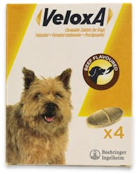 Veloxa Chewable Tablets For Dogs (2.5kg-30kg) 4 Tablets