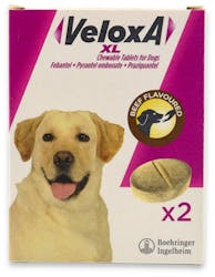 Veloxa XL Chewable Tablets For Dogs 17.5kg-70kg 2 Tablets