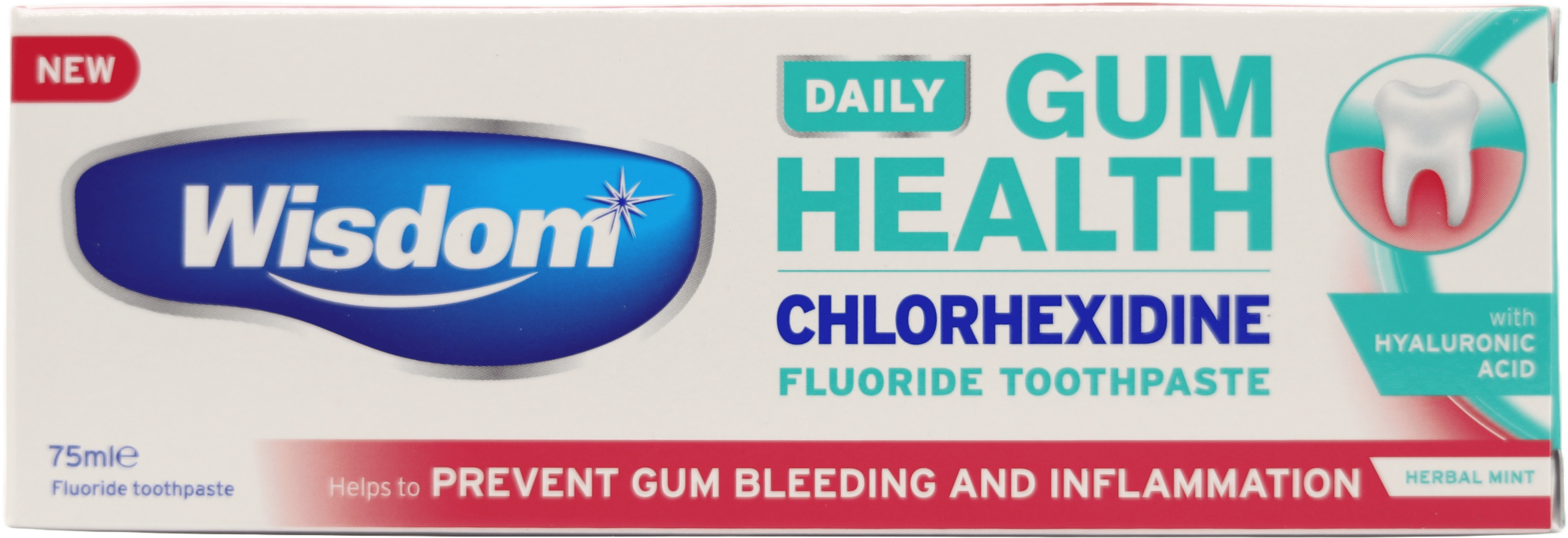 Wisdom Daily Gum Health Toothpaste 75ml