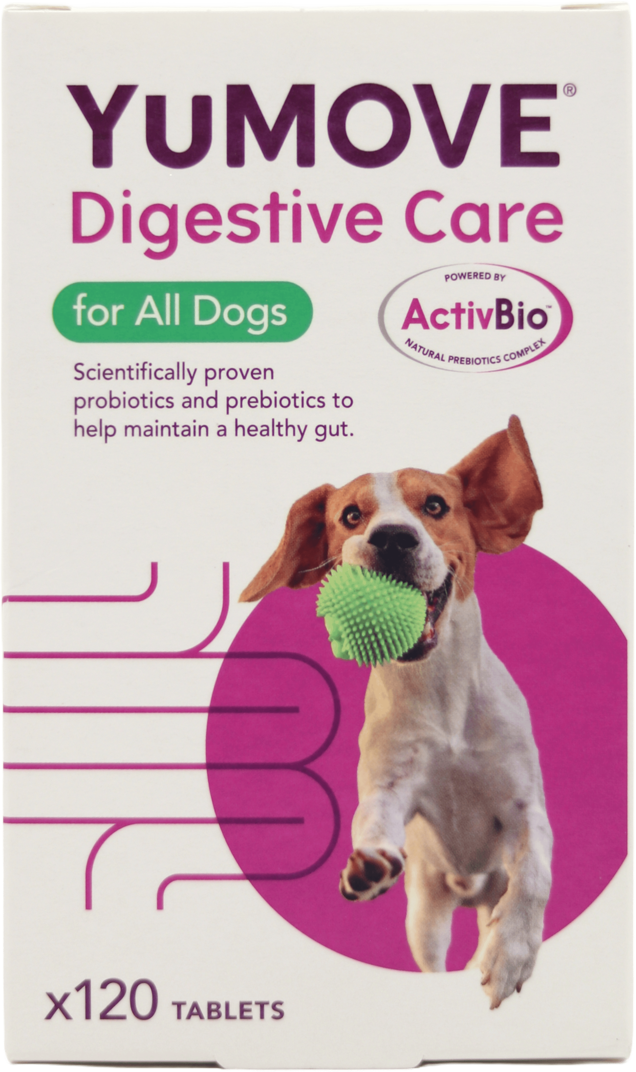 YuMOVE Digestive Care for All Dogs 120 Tablets